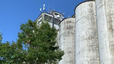 August 2020 - 99CA4AA2-6B6D-45E0-8B21-02D649CEBB5E6nK.jpg