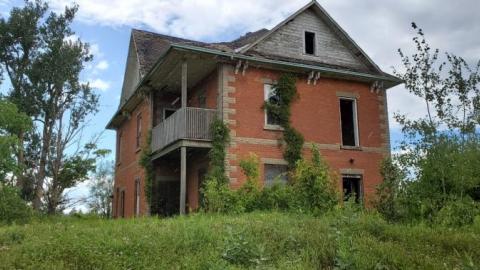 rainy day - 20200818_153447Twk.jpg