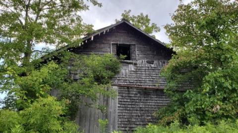 rainy day - 20200818_153330pMW.jpg