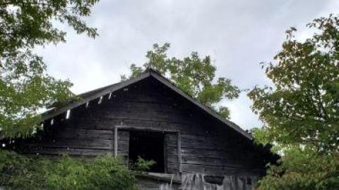 rainy day - 20200818_153323hmH.jpg