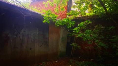 inside and outside pics - IMG_20200731_172857_096DId.jpg