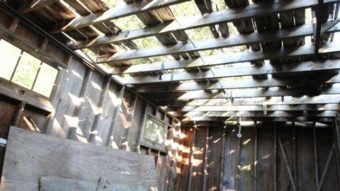 Tiny Butt Titillating - IMG_38743MP.jpg