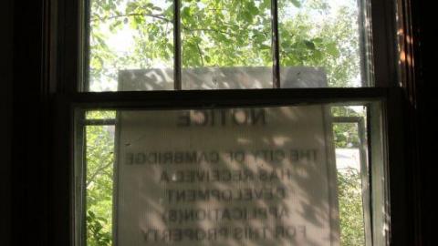 Tiny Butt Titillating - IMG_3819Ifj.jpg