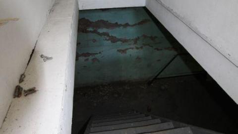 Tiny Butt Titillating - IMG_3822Fut.jpg