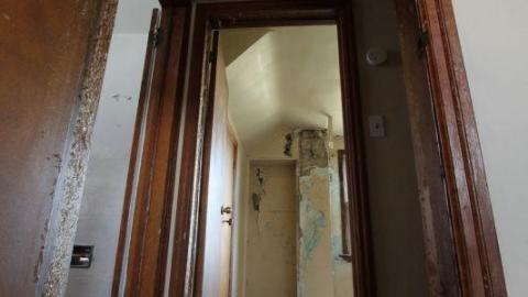 Tiny Butt Titillating - IMG_3835yUT.jpg