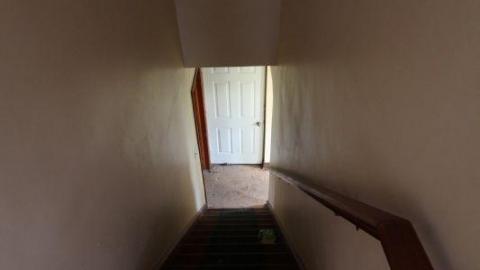 Tiny Butt Titillating - IMG_3838pbR.jpg