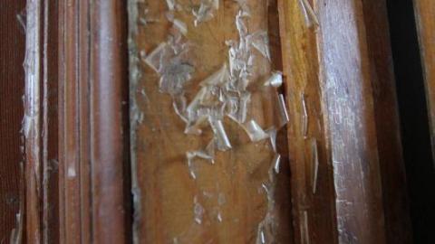 Tiny Butt Titillating - IMG_3849MlU.jpg