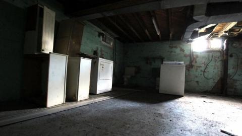 Tiny Butt Titillating - IMG_38535OR.jpg