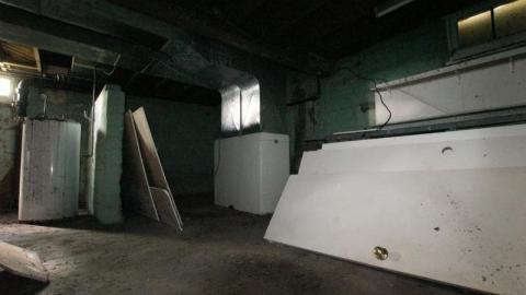 Tiny Butt Titillating - IMG_3862oiy.jpg