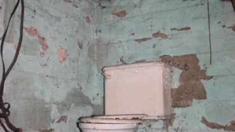 Tiny Butt Titillating - IMG_3865WuL.jpg