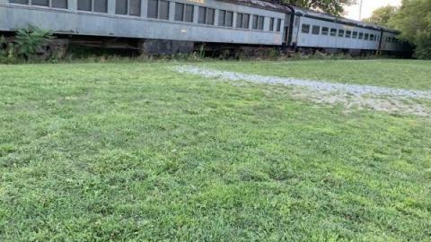 August 2020 - 8D03D0DD-9942-4FDA-972D-941DC77C9DABQfu.jpg