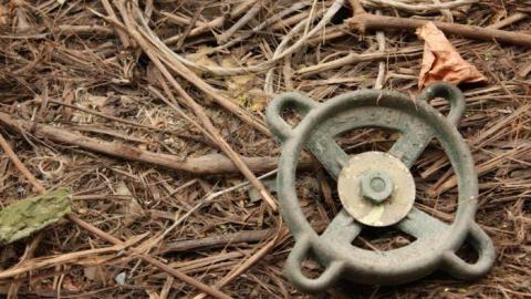 Early '11 visit - Concord-Floral2.jpg