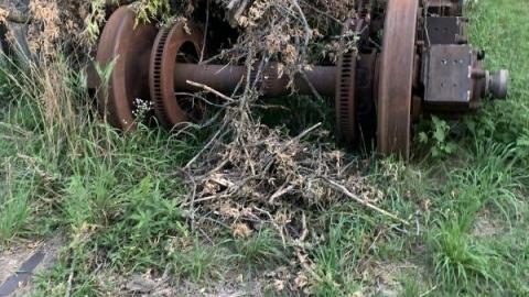 August 2020 - 57185ABA-A358-4FF8-BE6A-3DA922A3FCFBqOz.jpg