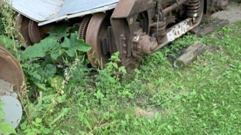 August 2020 - A8B47B99-3AD8-4F5E-ABE7-28C17DE7D230WC5.jpg