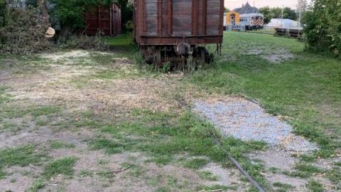 August 2020 - B5C2A4BB-3F6D-49CD-BCCB-3F9CD40EBF43QXM.jpg