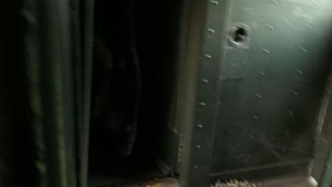 August 2020 - E2E51159-312E-4B23-9158-DC4BC8D363FDJSj.jpg