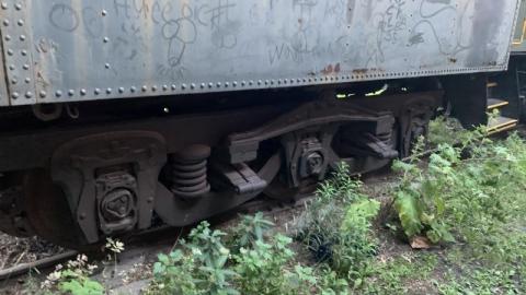 August 2020 - B61CA3A2-1F37-4A4F-A220-FAEB424B375Bv3J.jpg