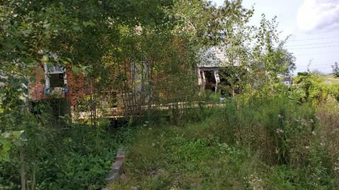 first visit - 20200822_124520K4x.jpg