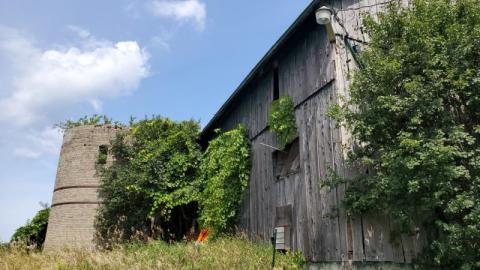 first visit - 20200822_12584198A.jpg