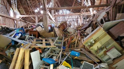 first visit - 20200822_1302315tB.jpg