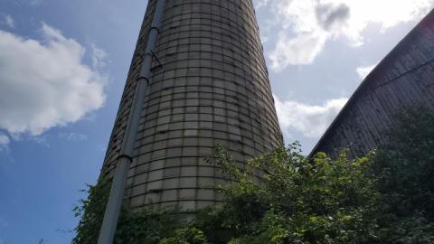 first visit - 20200822_131535rpL.jpg