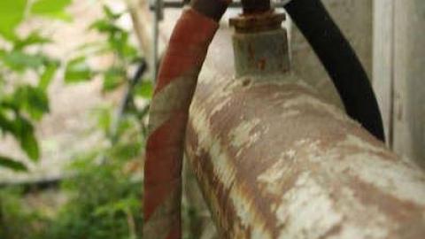 Photo from Early '11 visit