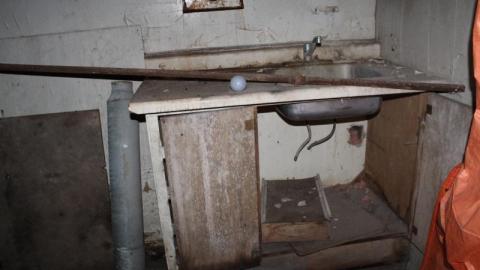 Pigeon House - IMG_3950psW.jpg