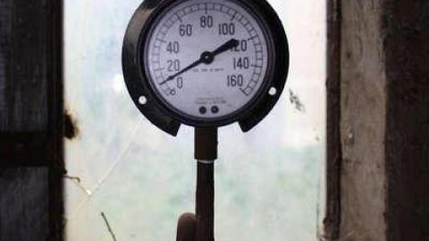 Early '11 visit - Concord-Floral9.jpg