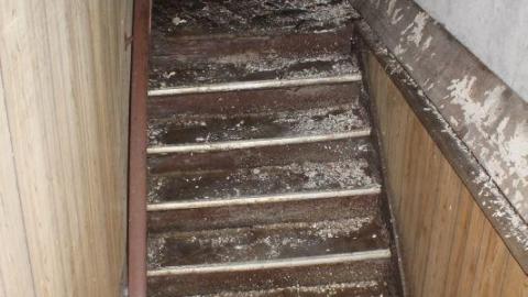 Pigeon House - IMG_3967jtu.jpg