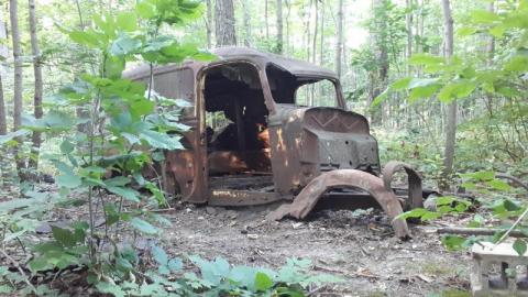 Butterfly Hunting Hike - 20200822_190708(0)Nlr.jpg