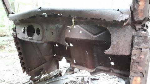 Butterfly Hunting Hike - 20200822_190752vEo.jpg