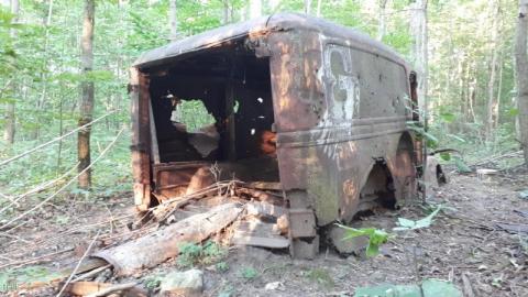 Photo from Butterfly Hunting Hike