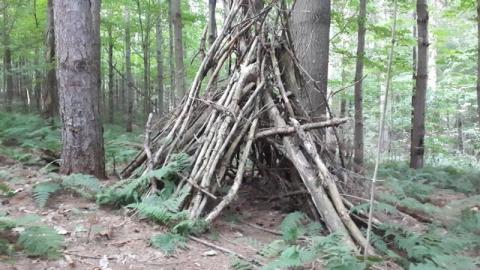 Butterfly Hunting Hike - 20200822_191451HDE.jpg