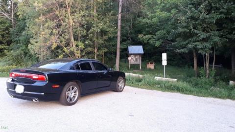 Photo from Butterfly Hunting Hike