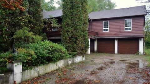 Gloomy '19 - DSC08869KYX.jpg