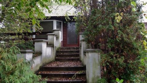 Gloomy '19 - DSC088716N7.jpg