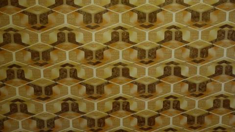 Gloomy '19 - DSC08888jSe.jpg