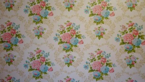 Gloomy '19 - DSC08922TSJ.jpg