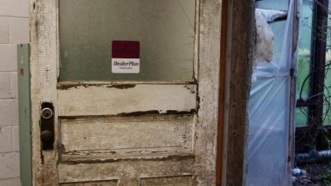 Gloomy '19 - DSC08965ElF.jpg