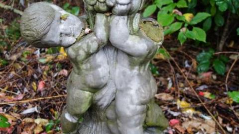 Gloomy '19 - DSC089716Or.jpg