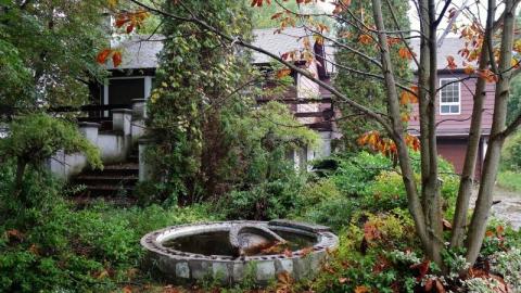 Photo from Gloomy '19