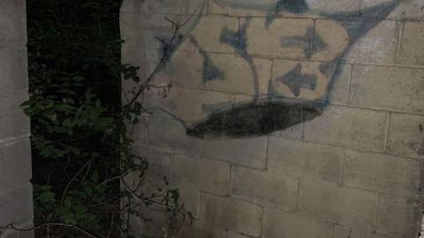 Night Visit - 522CF406-A1A6-475C-B59C-E9C080392593nai.jpg