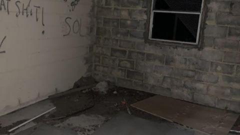 Night Visit - 469A31E4-F2B1-47ED-886C-45540E826C17Tvn.jpg