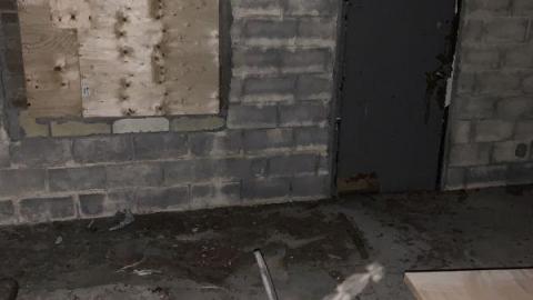 Night Visit - D881D12A-B3F6-4208-AA95-66C0CA4D21A8ppe.jpg