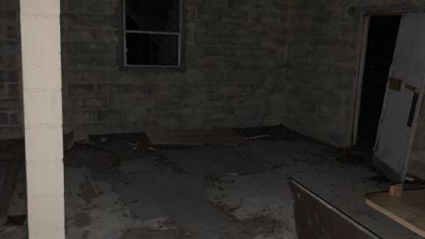 Night Visit - CE7D8E41-6A6A-48FE-8605-989FD518842ARkW.jpg