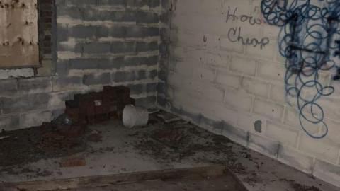 Night Visit - 723A9537-18B6-4B18-9EDC-12867FAB57DF4A4.jpg