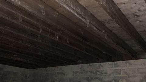 Night Visit - 97FDFB50-9666-4CD0-98C8-BF8FB5C8BF44nvt.jpg