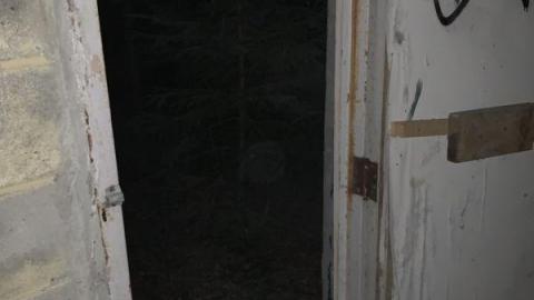 Night Visit - 5CEF72C6-E623-46DB-B040-C201C7F618D0Qke.jpg