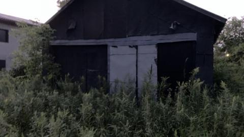 Night Visit - 8493F830-A13D-46FD-B448-9569E3F1A72E9MB.jpg