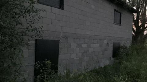 Night Visit - 2724370E-885F-44FD-95AB-68A6C0C51BD28ou.jpg